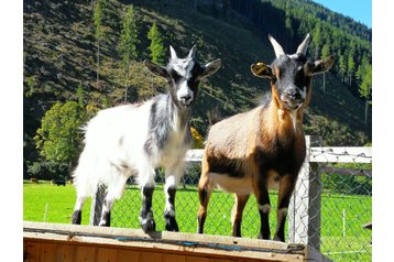 Oostenrijk Privát Ramsau am Dachstein, Exterieur